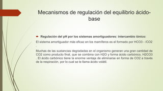 Mecanismos de regulación del equilibrio ácido-
base
 Regulación del pH por los sistemas amortiguadores: intercambio iónico:
El sistema amortiguador más eficaz en los mamíferos es el formado por HCO3 - /CO2
.
Muchas de las sustancias degradadas en el organismo generan una gran cantidad de
CO2 como producto final, que se combina con H2O y forma ácido carbónico, H2CO3
. El ácido carbónico tiene la enorme ventaja de eliminarse en forma de CO2 a través
de la respiración, por lo cual se le llama ácido volátil.
 