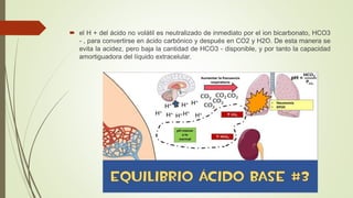  el H + del ácido no volátil es neutralizado de inmediato por el ion bicarbonato, HCO3
- , para convertirse en ácido carbónico y después en CO2 y H2O. De esta manera se
evita la acidez, pero baja la cantidad de HCO3 - disponible, y por tanto la capacidad
amortiguadora del líquido extracelular.
 