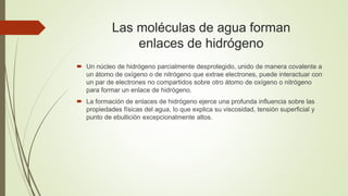 Las moléculas de agua forman
enlaces de hidrógeno
 Un núcleo de hidrógeno parcialmente desprotegido, unido de manera covalente a
un átomo de oxígeno o de nitrógeno que extrae electrones, puede interactuar con
un par de electrones no compartidos sobre otro átomo de oxígeno o nitrógeno
para formar un enlace de hidrógeno.
 La formación de enlaces de hidrógeno ejerce una profunda influencia sobre las
propiedades físicas del agua, lo que explica su viscosidad, tensión superficial y
punto de ebullición excepcionalmente altos.
 
