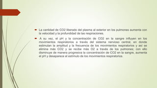  La cantidad de CO2 liberado del plasma al exterior en los pulmones aumenta con
la velocidad y la profundidad de las respiraciones.
 A su vez, el pH y la concentración de CO2 en la sangre influyen en los
movimientos respiratorios a través del sistema nervioso central, en donde
estimulan la amplitud y la frecuencia de los movimientos respiratorios y así se
elimina más CO2 y se recibe más O2 a través de los pulmones; con ello
disminuye de manera progresiva la concentración de CO2 en la sangre, aumenta
el pH y desaparece el estímulo de los movimientos respiratorios.
 