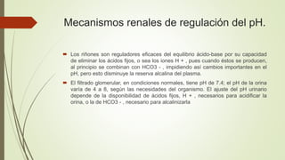 Mecanismos renales de regulación del pH.
 Los riñones son reguladores eficaces del equilibrio ácido-base por su capacidad
de eliminar los ácidos fijos, o sea los iones H + , pues cuando éstos se producen,
al principio se combinan con HCO3 - , impidiendo así cambios importantes en el
pH, pero esto disminuye la reserva alcalina del plasma.
 El filtrado glomerular, en condiciones normales, tiene pH de 7.4; el pH de la orina
varía de 4 a 8, según las necesidades del organismo. El ajuste del pH urinario
depende de la disponibilidad de ácidos fijos, H + , necesarios para acidificar la
orina, o la de HCO3 - , necesario para alcalinizarla
 