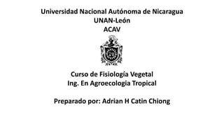 Universidad Nacional Autónoma de Nicaragua
UNAN-León
ACAV
Curso de Fisiología Vegetal
Ing. En Agroecologia Tropical
Preparado por: Adrian H Catin Chiong
 