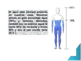 El agua está siempre presente
en nuestras vidas. Nosotros
somos en gran porcentaje agua
(70%) y nuestros alimentos
también son en esencia agua( la
carne 80%, lar verduras y frutas
90% y aún al pan cocido tiene
35 % ).
 