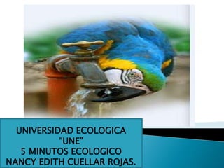 UNIVERSIDAD ECOLOGICA
“UNE”
5 MINUTOS ECOLOGICO
NANCY EDITH CUELLAR ROJAS.
 
