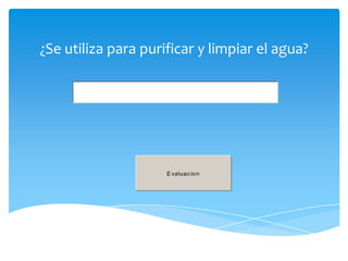 ¿Se utiliza para purificar y limpiar el agua?




                     E valuac io n
 