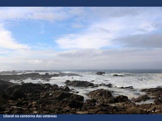 Litoral na contorna das cetáreas
 