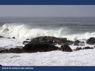 Litoral na contorna das cetáreas
 