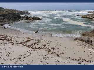 5-Praia do Fedorento
 