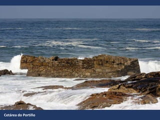Cetárea do Portiño
 