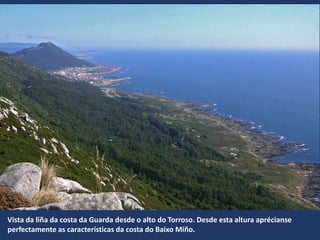 Vista da liña da costa da Guarda desde o alto do Torroso. Desde esta altura aprécianse
perfectamente as características da costa do Baixo Miño.
 