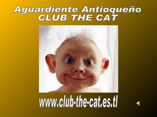 www.club-the-cat.es.tl Aguardiente Antioqueño CLUB THE CAT 