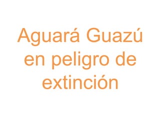 Aguará Guazú
en peligro de
extinción
 