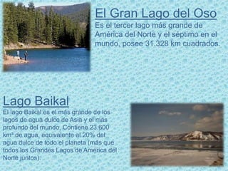 El Gran Lago del Oso
Es el tercer lago más grande de
América del Norte y el séptimo en el
mundo, posee 31.328 km cuadrados.
Lago Baikal
El lago Baikal es el más grande de los
lagos de agua dulce de Asia y el más
profundo del mundo. Contiene 23.600
km³ de agua, equivalente al 20% del
agua dulce de todo el planeta (más que
todos los Grandes Lagos de América del
Norte juntos).
 