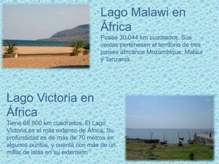 Lago Malawi en
África
Posee 30.044 km cuadrados. Sus
costas pertenecen al territorio de tres
países africanos Mozambique, Malaui
y Tanzania
Lago Victoria en
África
Tiene 68.800 km cuadrados. El Lago
Victoria es el más extenso de África. Su
profundidad es de más de 70 metros en
algunos puntos, y cuenta con más de un
millar de islas en su extensión
 
