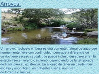Arroyos:
Un arroyo, riachuelo o rivera es una corriente natural de agua que
normalmente fluye con continuidad, pero que a diferencia de
un río, tiene escaso caudal, que puede incluso desaparecer en la
estación seca, verano o invierno, dependiendo de la temporada
de lluvia para su existencia. En el caso de tener un caudal muy
escaso y esporádico, es preferible usar el nombre
de torrente o rambla.
 