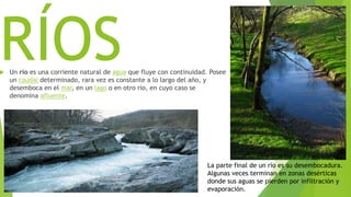 RÍOS Un río es una corriente natural de agua que fluye con continuidad. Posee
un caudal determinado, rara vez es constante a lo largo del año, y
desemboca en el mar, en un lago o en otro río, en cuyo caso se
denomina afluente.
La parte final de un río es su desembocadura.
Algunas veces terminan en zonas desérticas
donde sus aguas se pierden por infiltración y
evaporación.
 