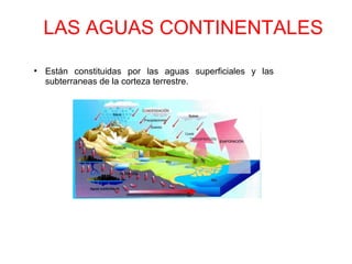 LAS AGUAS CONTINENTALES
●
Están constituidas por las aguas superficiales y las
subterraneas de la corteza terrestre.
