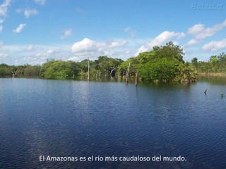 El Amazonas es el río más caudaloso del mundo.
                    I.E.S. La Atalaya
             Departamento de geografía e historia
 