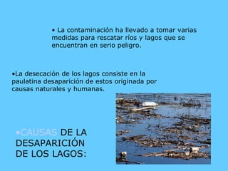 •  La contaminación ha llevado a tomar varias medidas para rescatar ríos y lagos que se encuentran en serio peligro. La desecación de los lagos consiste en la paulatina desaparición de estos originada por causas naturales y humanas. CAUSAS  DE LA DESAPARICIÓN DE LOS LAGOS: 