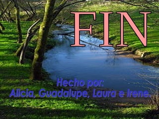 FIN Hecho por:  Alicia, Guadalupe, Laura e Irene. 