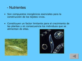 - Nutrientes Son compuestos inorgánicos esenciales para la construcción de los tejidos vivos. Constituyen un factor limitante para el crecimiento de las plantas y en consecuencia los individuos que se alimentan de ellas. 