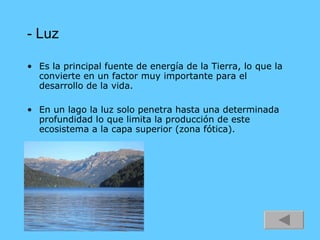 - Luz Es la principal fuente de energía de la Tierra, lo que la convierte en un factor muy importante para el desarrollo de la vida. En un lago la luz solo penetra hasta una determinada profundidad lo que limita la producción de este ecosistema a la capa superior (zona fótica). 