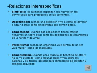 -Relaciones interespecíficas Simbiosis:  los salmones depositan sus huevos en las bermejuelas para protegerlos de las corrientes. Depredación:  cuando una población vive a costa de devorar o cazar a otra: como las lechuzas que comen peces. Competencia:  cuando dos poblaciones tienen efectos negativos un sobre otra: como las poblaciones de escarabajos de la harina y de arroz.  Parasitismo:  cuando un organismo vive dentro de un ser vivo mayor: como los mosquitos.  Comensalismo:  cuando unas especia se beneficia de otra y no se ve afectada: como algunas lapas viven sobre las ballenas y así tienen facilidad para alimentarse de plancton y también seguridad. 