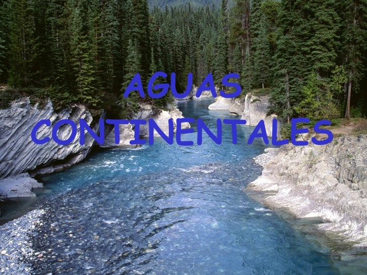 Ecosistemas de aguas continentales essay 05 picture
