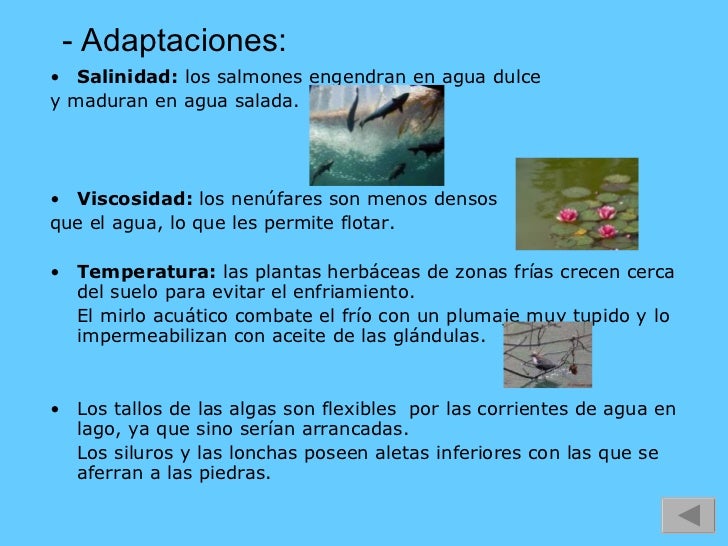 Aguas contin gf ab iu lm
