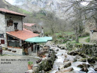 RIO BULNES – PICOS DE
EUROPA
 