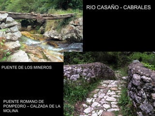 RIO CASAÑO - CABRALES
PUENTE DE LOS MINEROS
PUENTE ROMANO DE
POMPEDRO – CALZADA DE LA
MOLINA
 