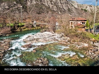 RIO DOBRA DESEMBOCANDO EN EL SELLA
 