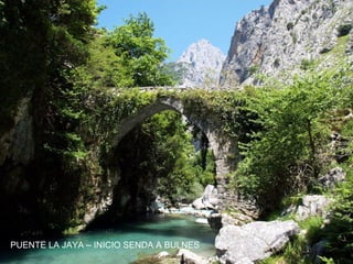 PUENTE LA JAYA – INICIO SENDA A BULNES
 