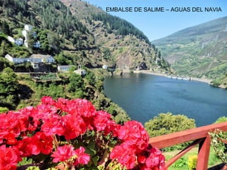 EMBALSE DE SALIME – AGUAS DEL NAVIA
 