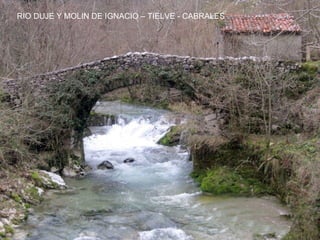 RIO DUJE Y MOLIN DE IGNACIO – TIELVE - CABRALES
 