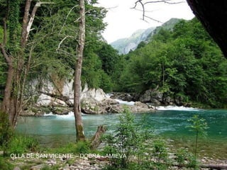 OLLA DE SAN VICENTE – DOBRA - AMIEVA
 