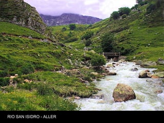 RIO SAN ISIDRO - ALLER
 