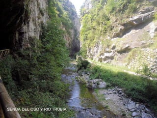 SENDA DEL OSO Y RIO TRUBIA
 