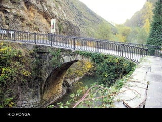 RIO PONGA
 