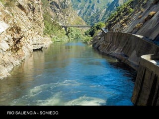 RIO SALIENCIA - SOMIEDO
 
