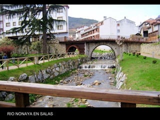 RIO NONAYA EN SALAS
 