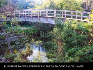 PUENTE DE MADERA SOBRE EL RIO PURON EN CONCEJO DE LLANES
 