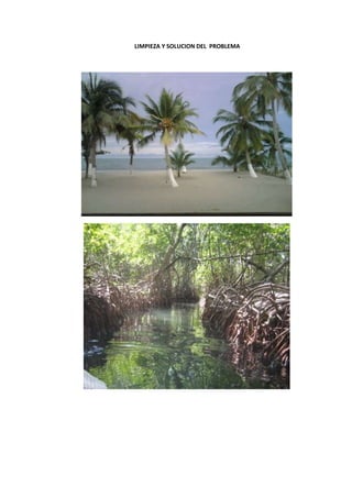 LIMPIEZA Y SOLUCION DEL PROBLEMA
 
