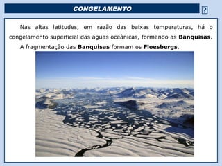CONGELAMENTO                                       
   Nas altas latitudes, em razão das baixas temperaturas, há o
congelamento superficial das águas oceânicas, formando as Banquisas.
   A fragmentação das Banquisas formam os Floesbergs.




                                     Religião Predominante: Islamismo
 