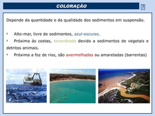 COLORAÇÃO                                         
Depende da quantidade e da qualidade dos sedimentos em suspensão.


Ü
    Alto-mar, livre de sedimentos, azul-escuras.
Ü
    Próxima ás costas, esverdeada devido a sedimentos de vegetais e
detritos animais.
Ü
    Próxima a foz de rios, são avermelhadas ou amareladas (barrentas)




                                        Religião Predominante: Islamismo
 