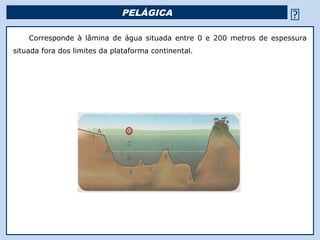 PELÁGICA                                           
    Corresponde à lâmina de água situada entre 0 e 200 metros de espessura
situada fora dos limites da plataforma continental.




                                              Religião Predominante: Islamismo
 