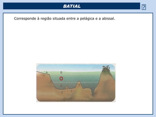 BATIAL                                          
Corresponde à região situada entre a pelágica e a abissal.




                                         Religião Predominante: Islamismo
 