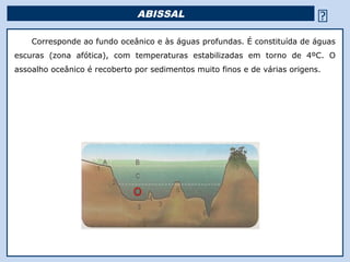 ABISSAL                                          
    Corresponde ao fundo oceânico e às águas profundas. É constituída de águas
escuras (zona afótica), com temperaturas estabilizadas em torno de 4ºC. O
assoalho oceânico é recoberto por sedimentos muito finos e de várias origens.




                                            Religião Predominante: Islamismo
 