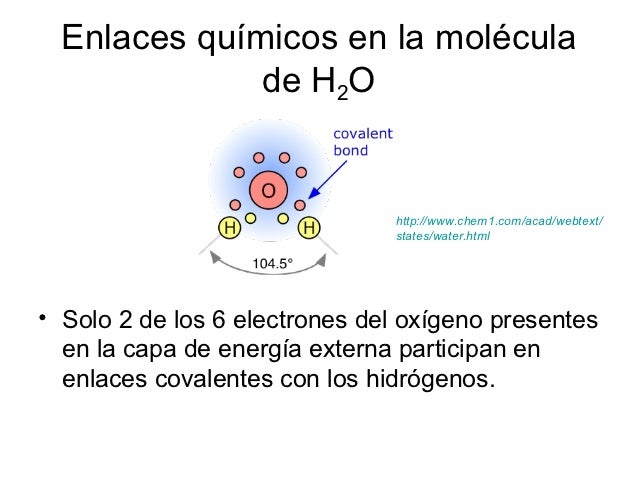 Agua solvente universal