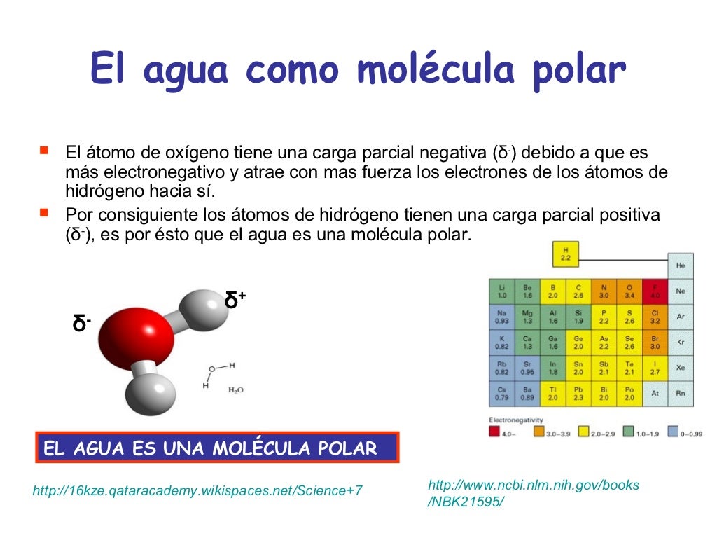 Agua solvente universal